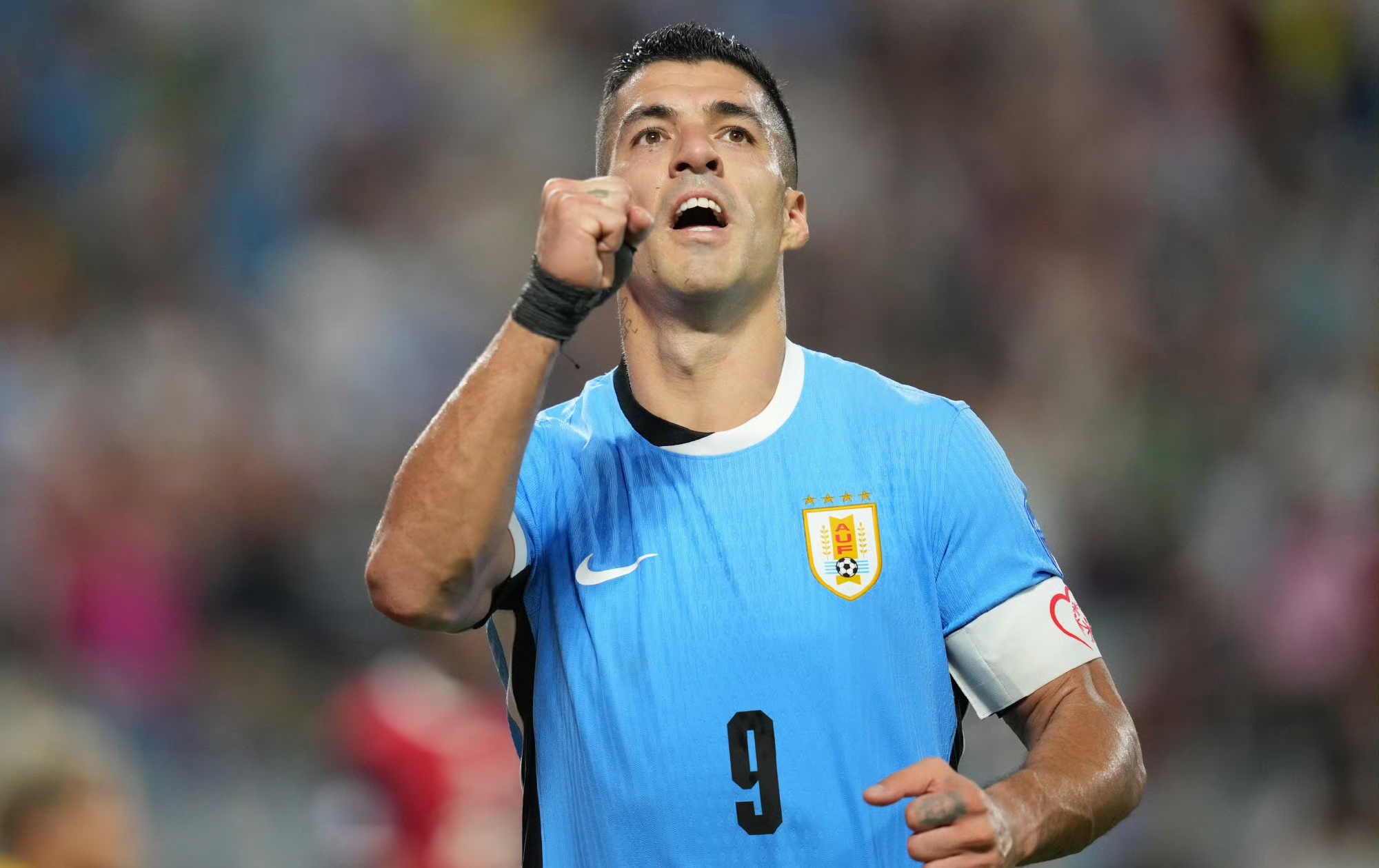 乐动体育-美洲杯冠军夺冠热门球队引进新援，备战下赛季的简单介绍